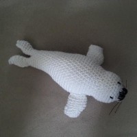 Foca
