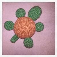 Tartaruga